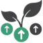 Medium Growth