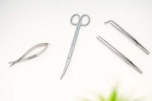 Aquarium Plant Tools Guide for Care and Maintenance