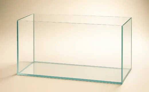 FeaturedImage_AquariumGlass