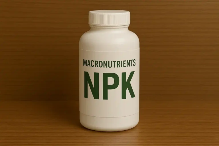 featuredimage_macronutrients