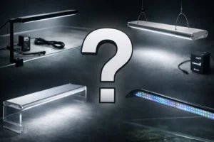 Best LED Light for Planted Aquarium