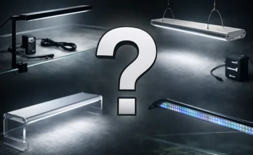 Different Aquarium LED for best LED Light for Planted Aquarium