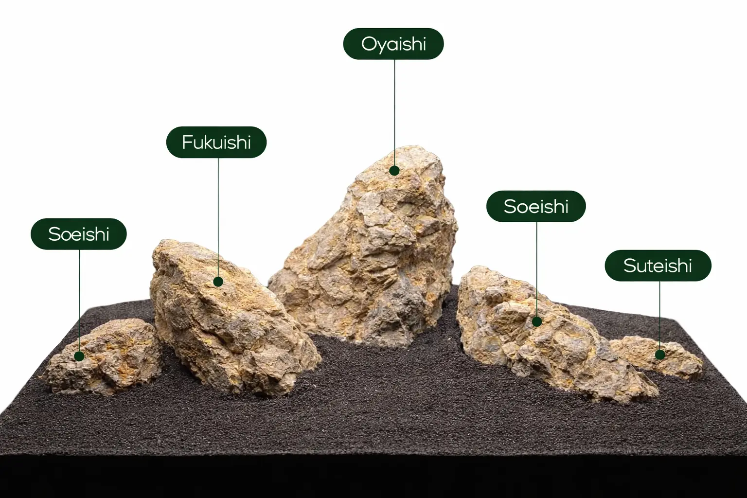 Iwagumi aquascape rock hierarchy showing Oyaishi, Fukuishi, Soeishi, and Suteishi placement
