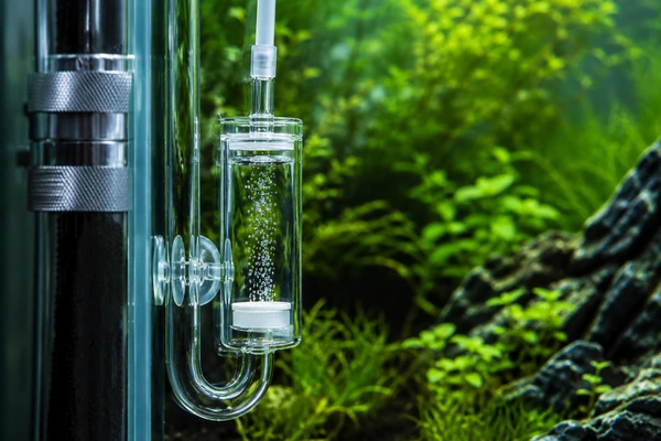 Aquarium CO2 bubble counter releasing bubbles in front of aquatic plants