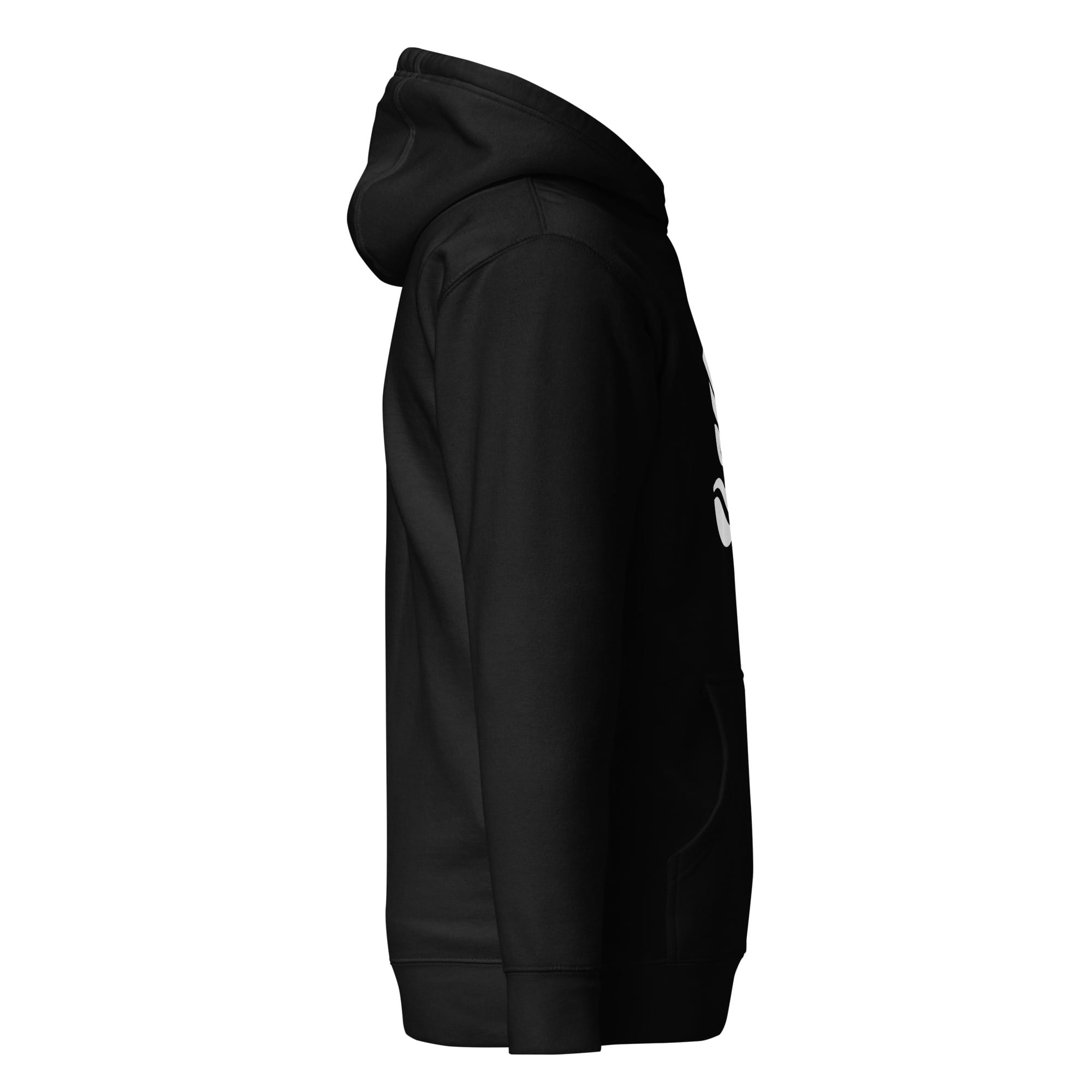 AquariumLesson Premium Logo Hoodie - Image 7