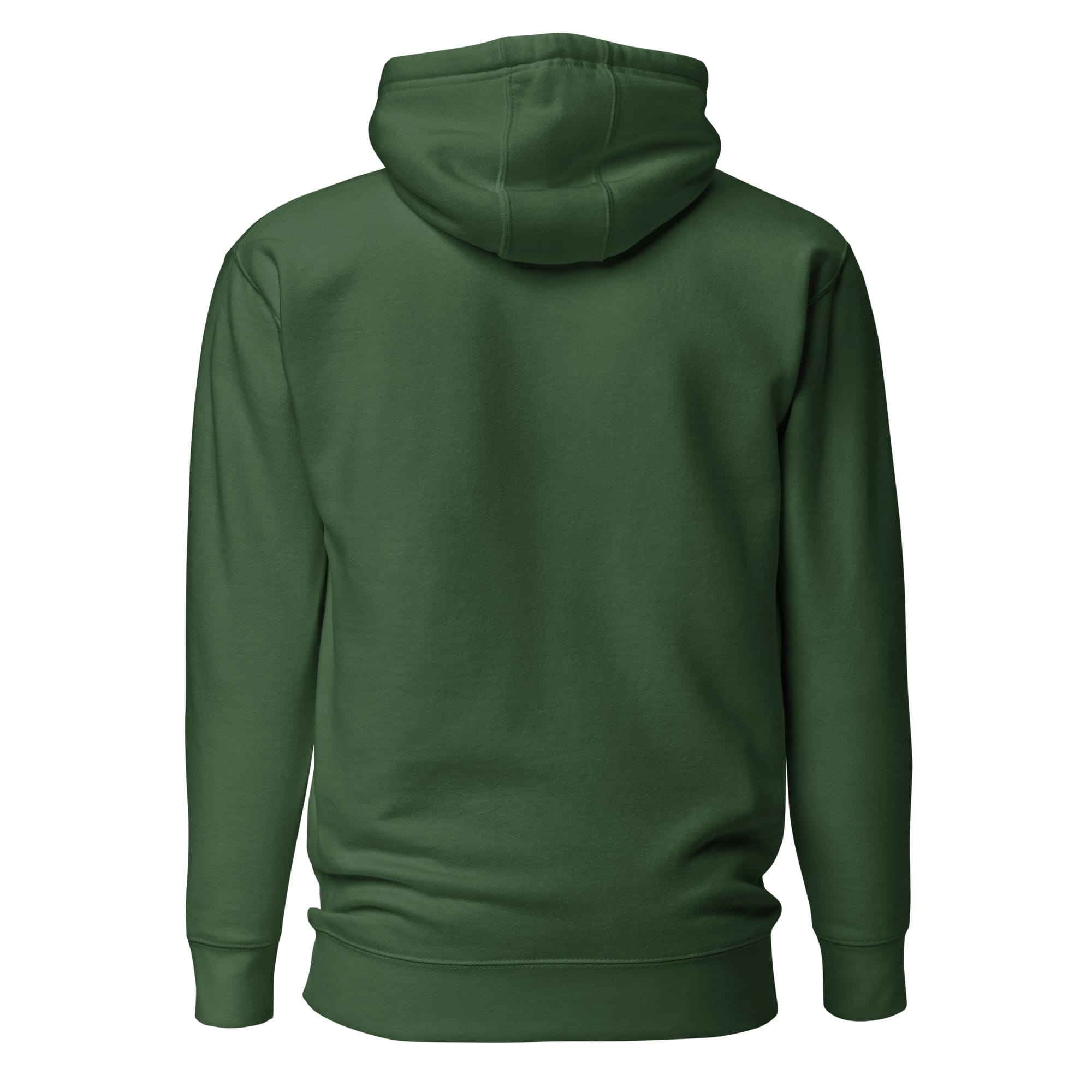 AquariumLesson Premium Logo Hoodie - Image 4