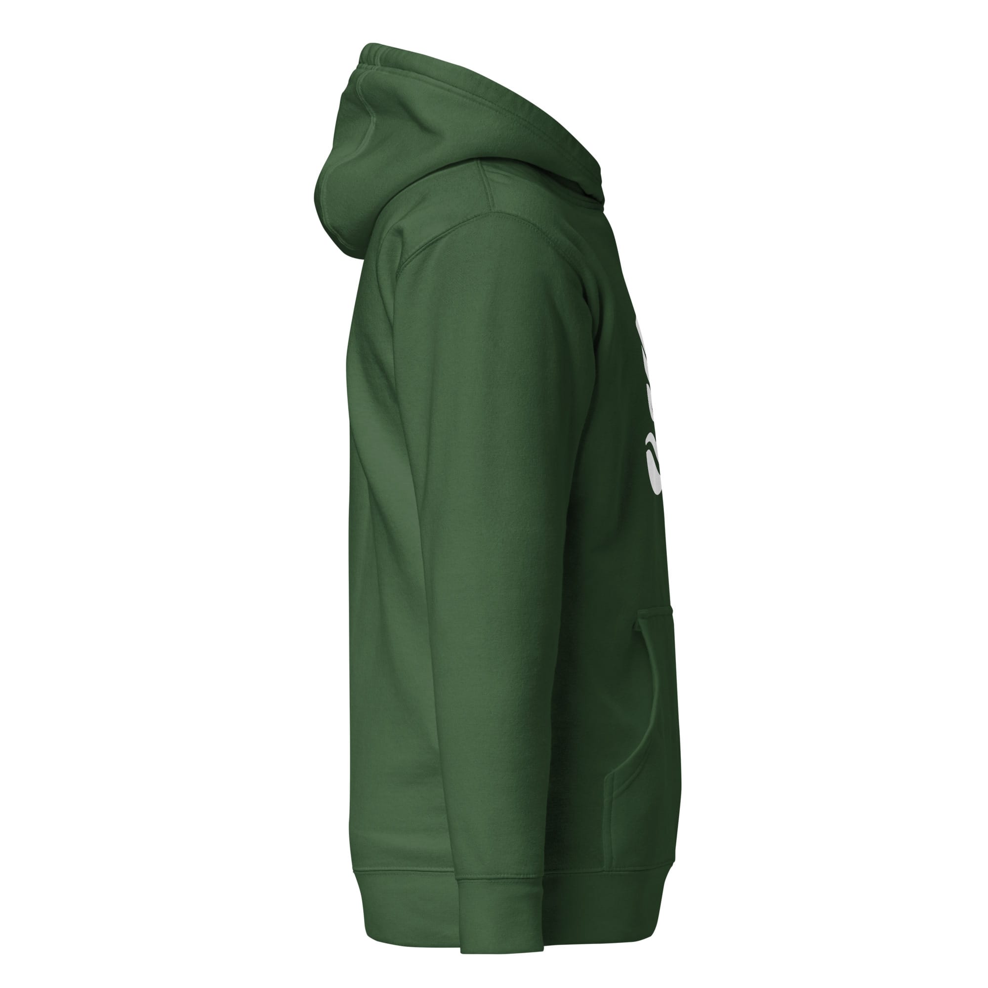 AquariumLesson Premium Logo Hoodie - Image 8