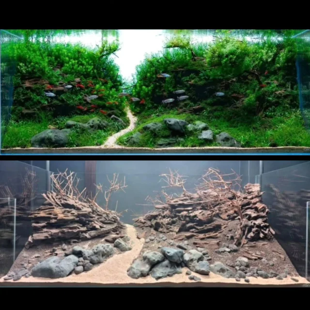 Lets cover some incredible IAPLC works that doesnt show up in the Top 100.
Rank 448 - @fabio_silvia_aquascaping
⠀
💚💙Follow Aquariumlesson for more Aquarium and Aquascaping inspirations.
🐟🌱💧
.
.
.
.
.
.
.
.
.
.
#aquarium #aquariunhobby #iaplc2026 #aquascape