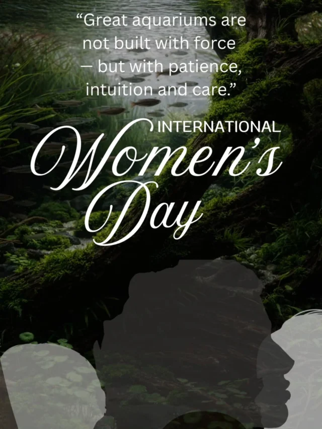 International Women’s Day 🌿Women inspiring the aquarium hobby.Aquascaping is creativity, patience and intuition,
and this hobby could use more of it.Know inspiring women in the aquarium community?Tag them below 👇
.
.
.
.
.
.
.
.
.
.
#InternationalWomensDay #Aquascaping #AquariumHobby #WomenInAquascaping